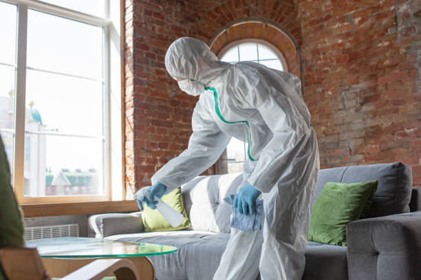 Why You Should Choose Our Mold Remediation Services in Mcchord Af, WA